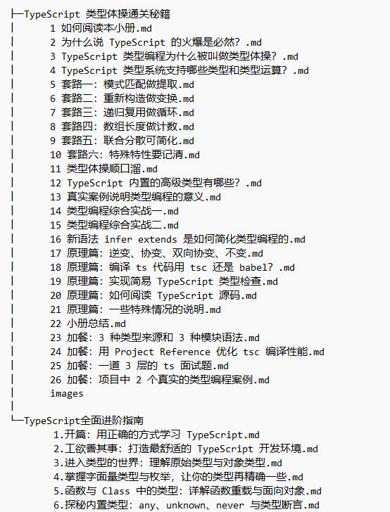 TypeScript 類(lèi)型體操通關(guān)秘籍與typescript全面進(jìn)階指南 教程 下載  圖1